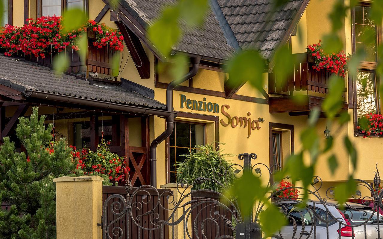 Penzion Sonja Vysne Ruzbachy Exterior photo